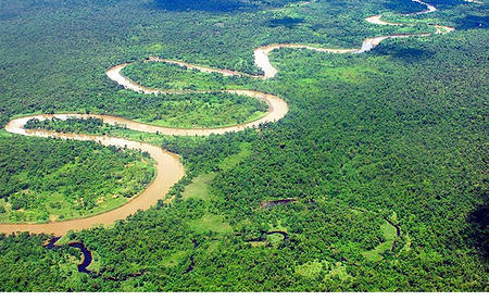 Se muere la Amazonia?