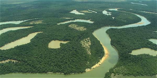 El río Bita (Colombia) es una de las subcuencas que fue evaluada para conocer el estado total de la salud de la Cuenca del Orinoco