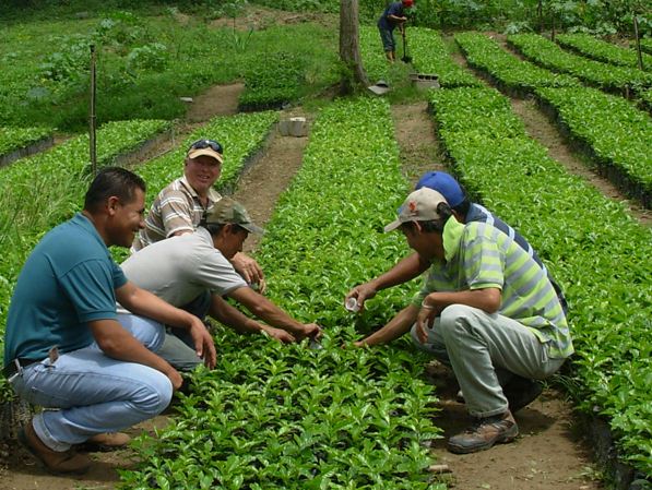 Productores agrícolas de Mérida