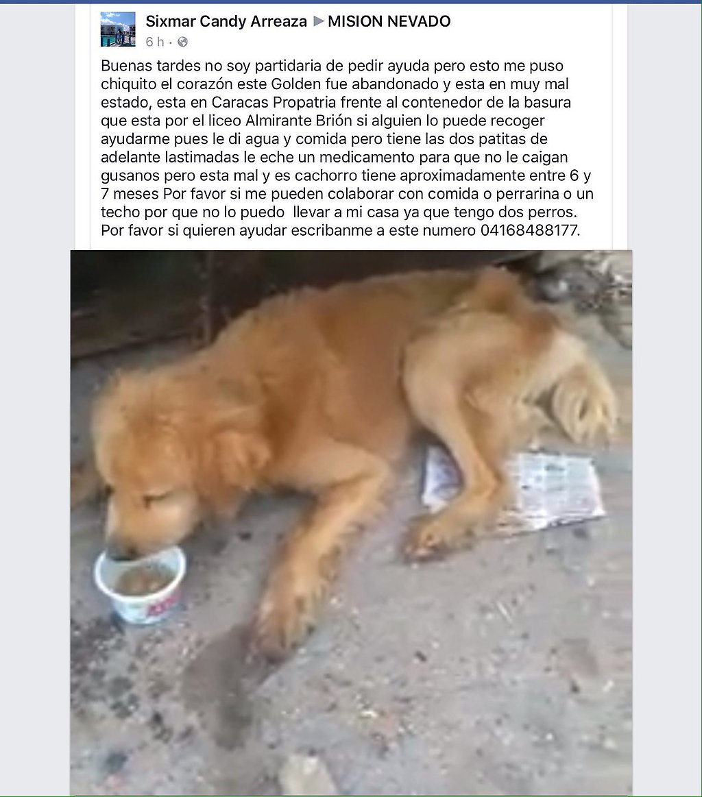 ABANDONADO PROPATRIA FRENTE A LICEO "Almirante Brion"SOLICITAN APOYO PARA RESCATE 0416 8488177 Sixmar @Venedelgado