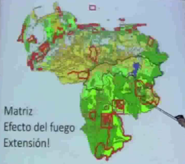 Fragmentación de bosques tropicales en Amazonas