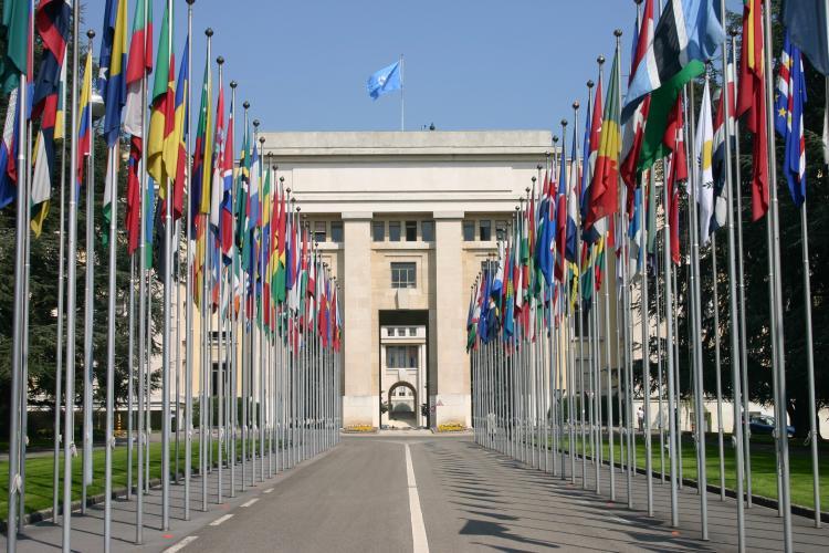 Consejo de Derechos Humano de la ONU