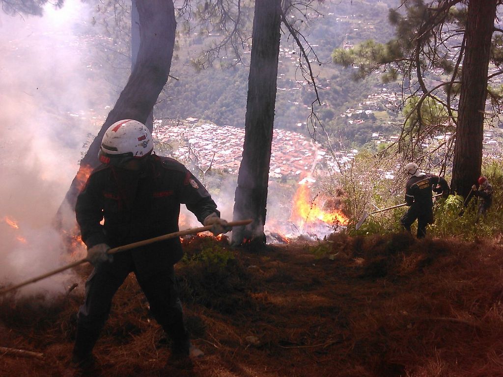 Incendio de más de 12 hectáreas en El Vallecito, estado Mérida