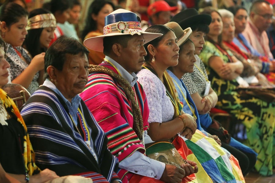 Pueblos indígenas 
