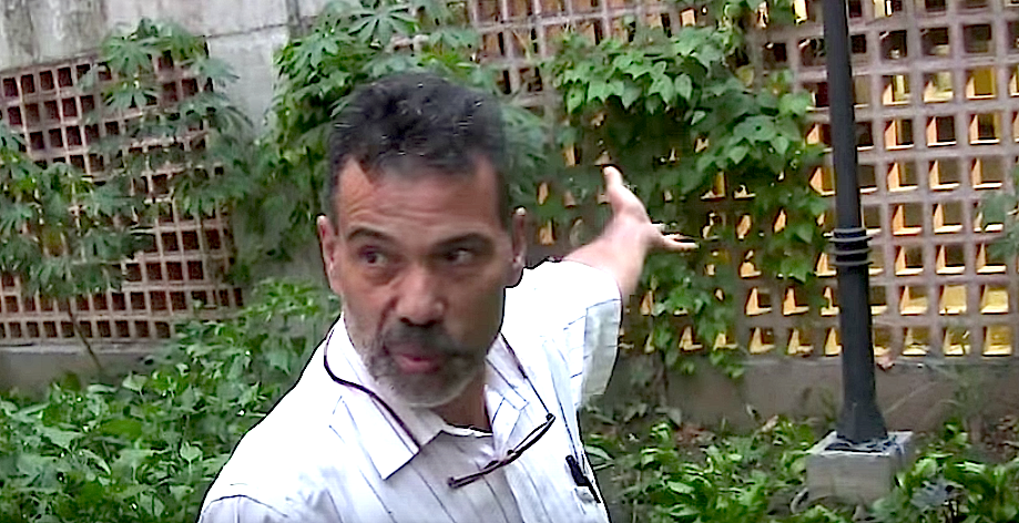 Pedro Godoy nos muestra el jardín convertido en conuco