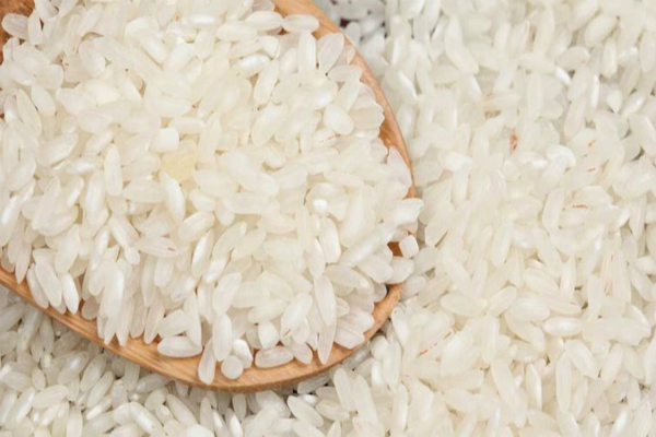 actualmente se siembran unas 701 hectáreas de arroz en el estado llanero.