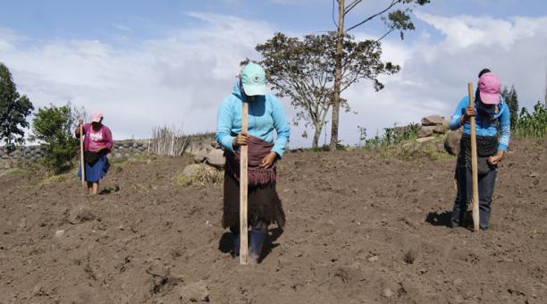 Mujeres de una comunidad de Pucará siembran semillas que previamente pasan una noche bajo la luna