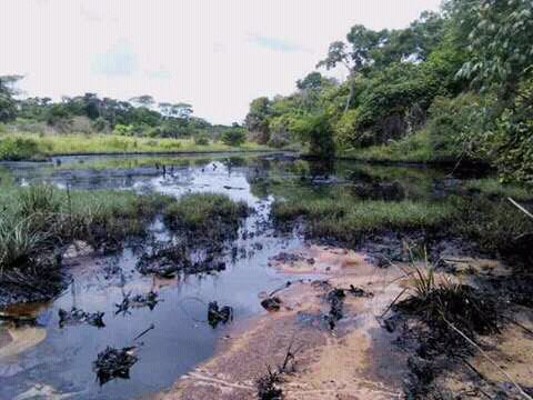 Derrame de 25.000barriles de petróleo en el río Aribí, Pao y Orinoco