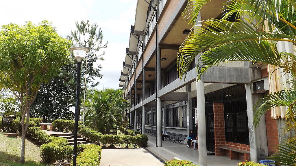 Universidad Nacional Experimental de Guayana (UNEG)