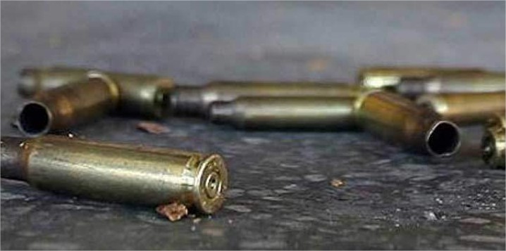 Mérida: Fueron incautadas 10 mil balas de fusil transportadas en ... - Aporrea