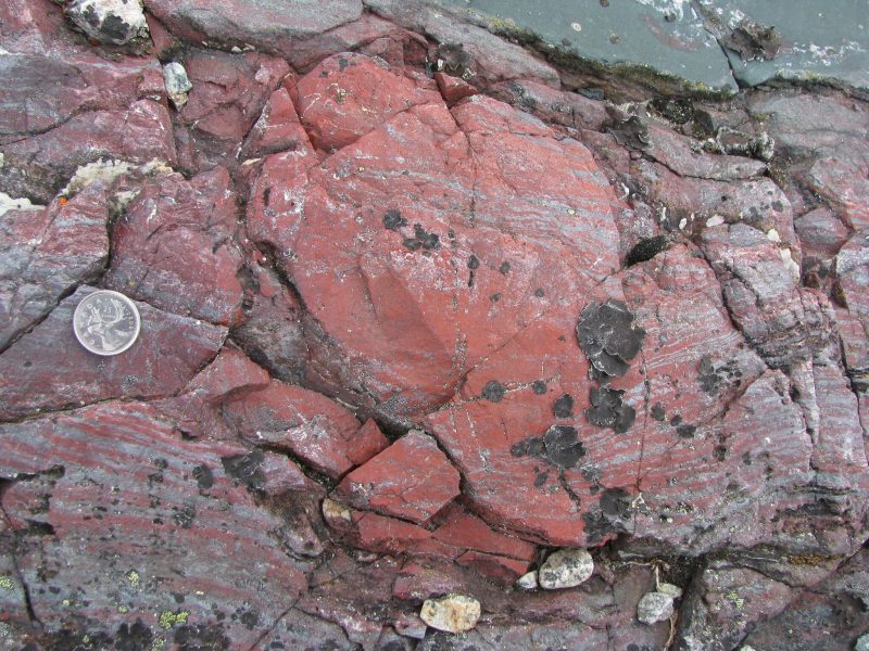 Microfósiles descubiertos en Canadá