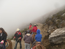 Paseos a Caballo en Arrieros de los Nevados, estado Mérida