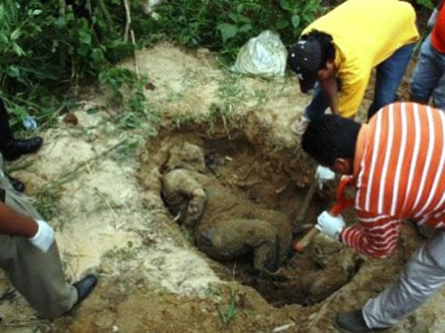 Los restos humanos en esa zona turística tendrían entre cinco y 20 días de haber sido enterrados cerca de un canal que desemboca al mar.