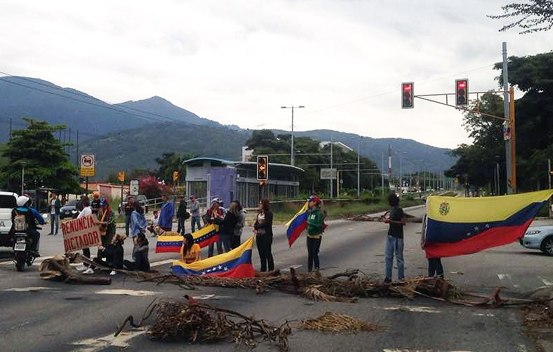 Grupos opositores se ubican de la urbanización Carrizal  (ciudad de Mérida)  bloquean la avenida Andrés Bello importante arterial vial que comunica con la vecina ciudad de Ejido y demás poblaciones del sur de la entidad.