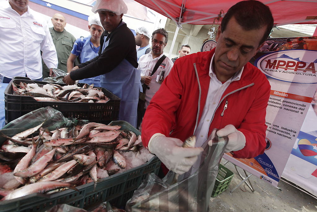Feria pesquera (Ruta de la sardina)