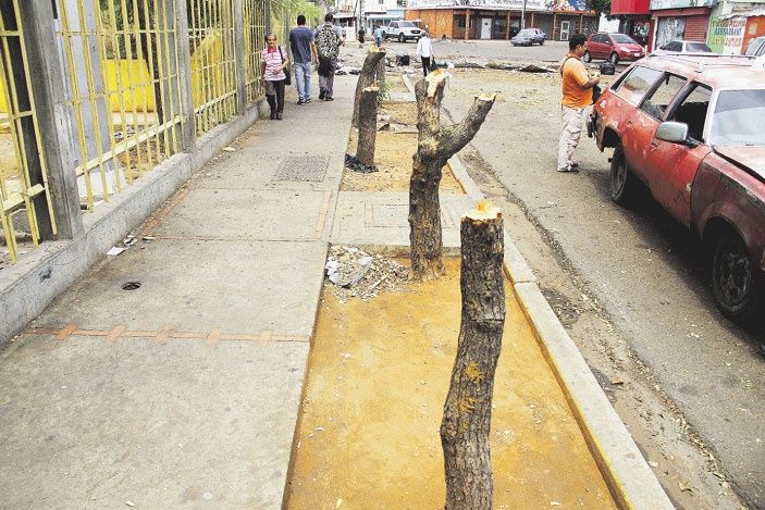 Ecocidio en Maracaibo