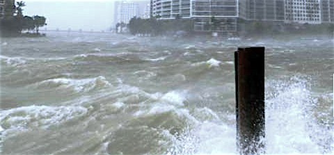 Brickell, centro financiero de Miami, bajo las aguas
