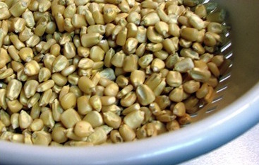 La masa de maíz pilado tiene más fibra y menos índice glucémico