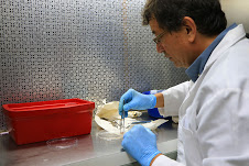 Carlos Ayala es investigador de la Unidad de Terapia Celular del IVIC