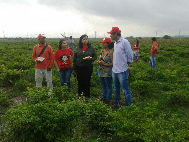 Brigadas de los Sin Tierra brasileños desarrollan trabajos en agroecología en tres regiones de Venezuela.