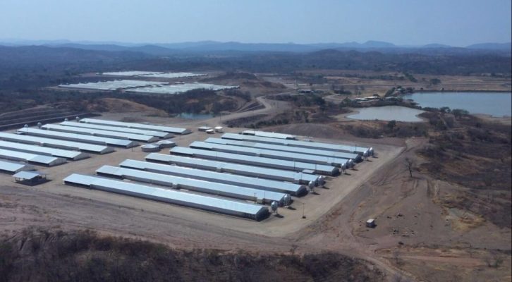 Según los datos la avícola produciría con el financiamiento 5 millones 500 mil pollos anualmente. No hay datos sobre los resultados de la inversión aunque Della Polla mantiene publicadas en su cuenta twitter varias fotografías de enormes galpones en construcción.