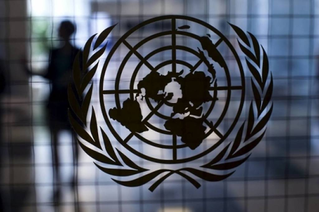 La Organización de las Naciones Unidas (ONU)