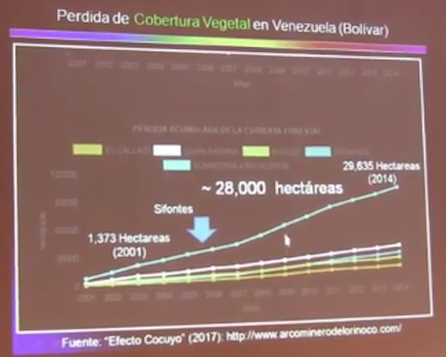 Pérdida de cobertura vegetal en Venezuela (Bolívar)