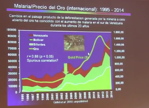 Malaria/Precio del oro (internacional): 1995-2014