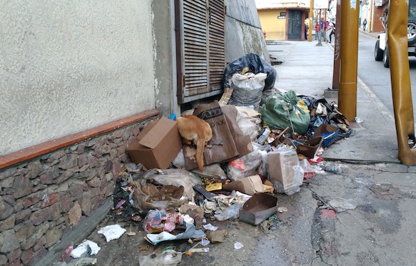 El problema de la basura abarca a toda la ciudad