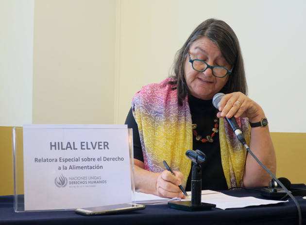 Hilal Elver, Relatora de la ONU