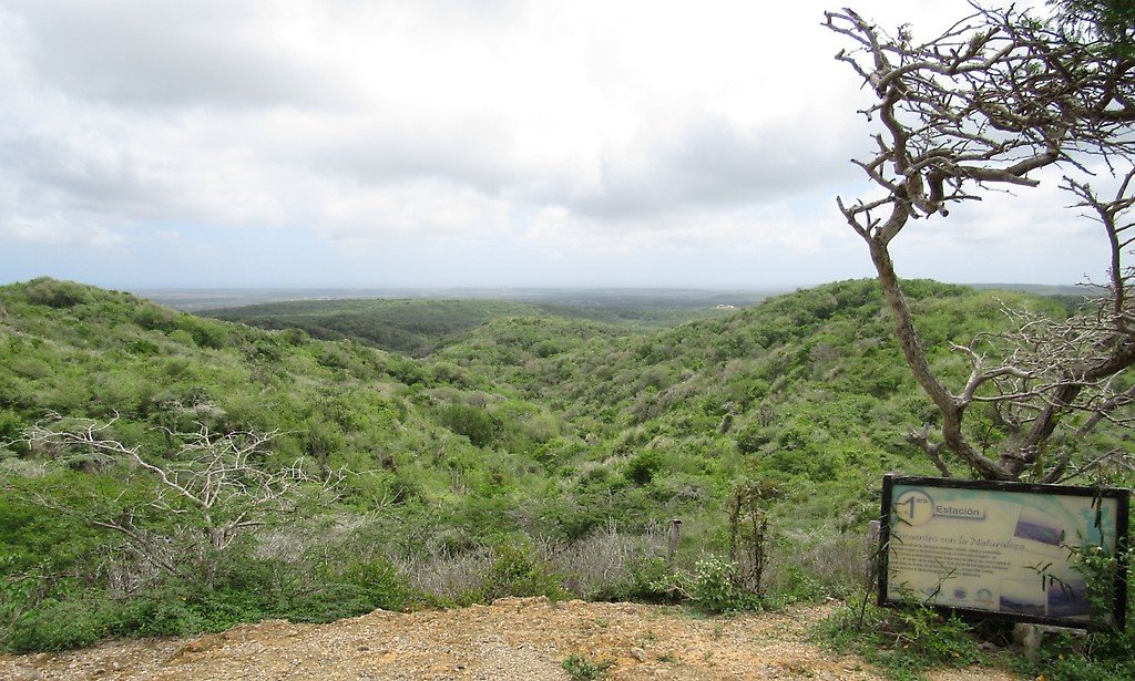 Ecosistema Montecano en Falcón