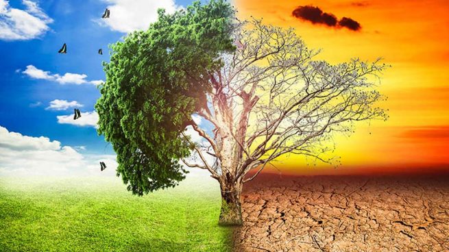 Cómo afecta al planeta el cambio climático