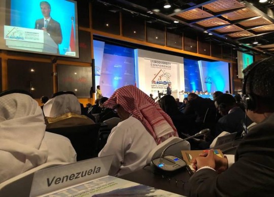 Venezuela presente en la Convención sobre Diversidad Biológica (COP 14-CDB), en Egipto
