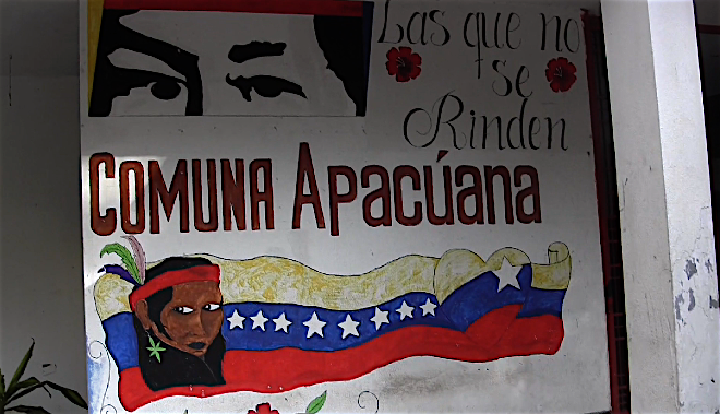 Comuna Apacuana trajo 11 reses a Caracas para distribuir la carne a precios solidarios
