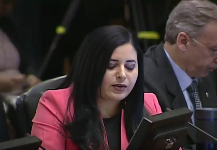 Asbina Marín, digna representante de Venezuela ante la OEA