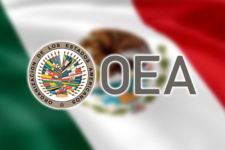 El embajador de México ante la OEA, Jorge Lomónaco, pidió revisar la "delicada situación" de las muestras de apoyo internacional al parlamentario, quien se autojuramentó como "presidente encargado".