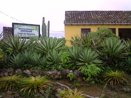 Parque nacional Montecano