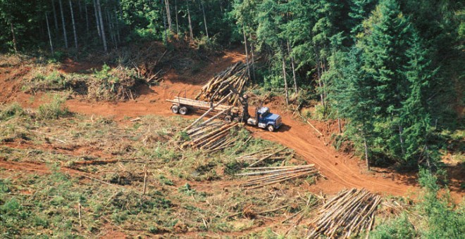 Fotografía de archivo sin fechar en la que se observa la deforestación de la selva amazónica en Brasil. 