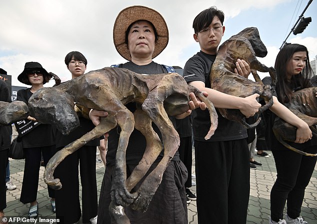 Los manifestantes sostuvieron modelos de perros asados frente a la Asamblea Nacional en la capital de Corea del Sur