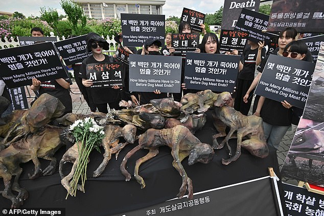 Activistas por los derechos de los animales sostuvieron carteles que decían "¿Cuántos millones tienen que morir antes de que acaben con el consumo de carne de perro?