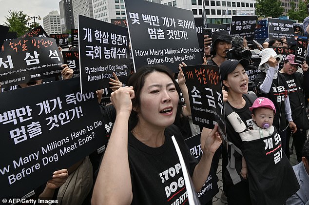 Las jóvenes generaciones de Corea del Sur son los que más se oponen al consumo de perros