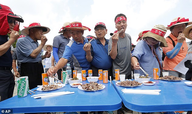 Los miembros de la Asociación Coreana de Consumidores de Carne de Perro comen carne de perro durante un mitin para apoyar la comida de carne de perro