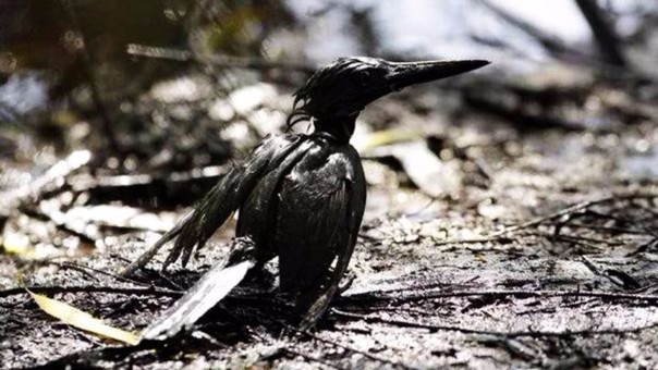Derramen de petróleo en la selva de Perú