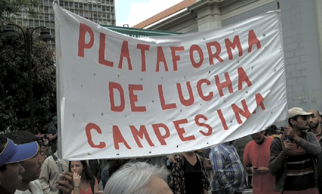 Plataforma de Lucha Campesina