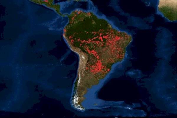 Bolsonaro privilegia los agrocultivos sobre las políticas ambientales y a los pueblos indígenas