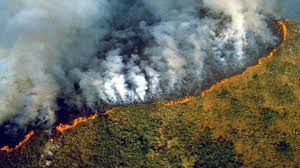 Terratenientes incendiarían grandes áreas para grandes cultivos de soya, palma aceitera y caña de azúcar