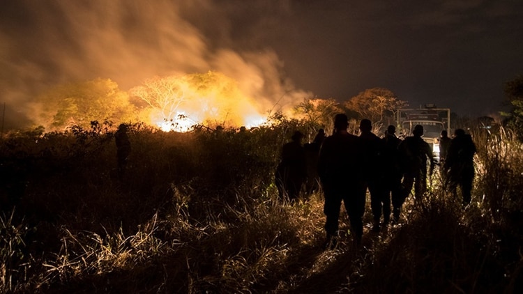 El fuego ya arrasó casi un millón de hectáreas en Bolivia