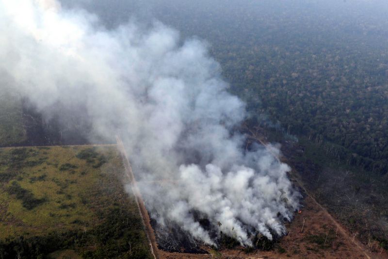Incendios acaban con la selva amazónica