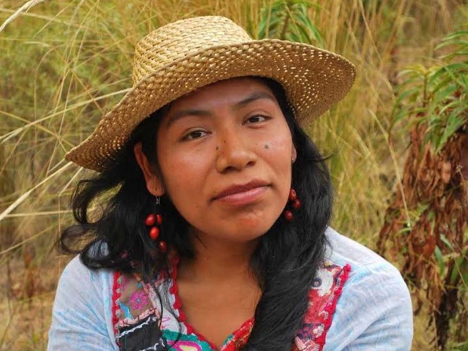 La ambientalista mixteca de 36 años decidió resguardarse por temor a que prosperaran las amenazas en su contra