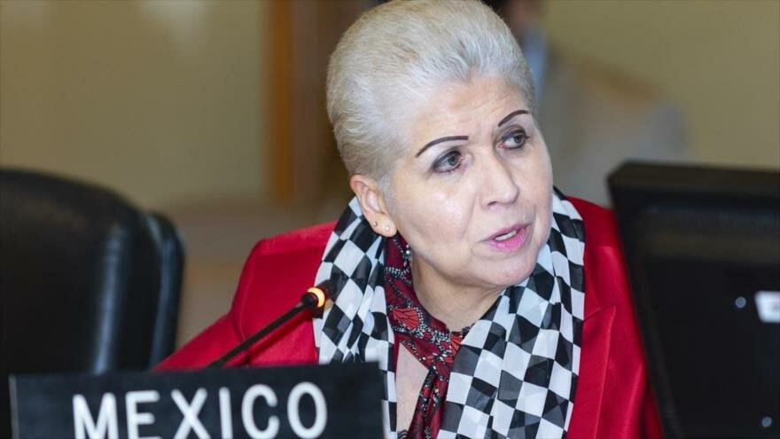 La representante de México denuncia ante la Organización de Estados Americanos (OEA), embajadora Luz Elena Baños Rivas